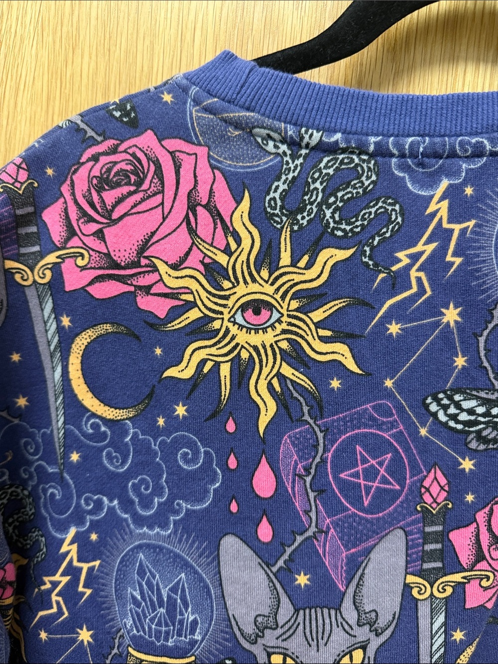 Earthbound Mystical Sphynx Cat Print Sweatshirt in Navy & Pink - Picture 6 of 8
